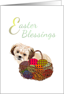 Easter from Pet Shih Tzu Puppy Basket of Colorful Easter Eggs card