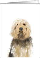 Otterhound dog, blank card