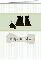 Birthday Puppies And A Juicy Bone card