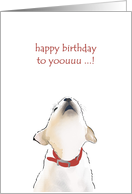 Puppy howling a happy birthday greeting card