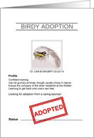 Congratulations On Adopting Bird From Shelter Adoption Papers card