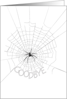 Spider spinning the words ’good bye’, farewell card