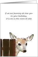 Sketch Of Cute Fawn Hiding Behind a Wooden Fence Birthday card