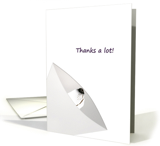 Thank you veterinarian, dog wearing surgical dog collar card (1371274)