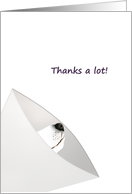 Thank you veterinarian, dog wearing surgical dog collar card