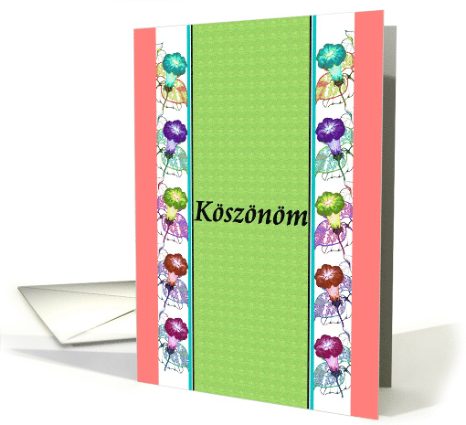 Koszonom Thank You in Hungarian Ink Drawing of Morning... (1373212)