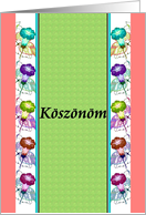 Koszonom Thank You in Hungarian Ink Drawing of Morning Glory Flower card