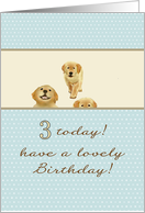 3rd Birthday 3 Cute Labrador Puppies card