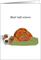 Let Sleeping Dogs Lie Idiom Two Dogs Asleep Friendship card