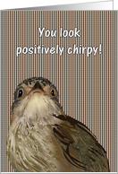 Feel Better After Fitting Pacemaker Looking Positively Chirpy Bird card