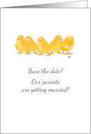 Save The Date Blended Family Wedding Cute Little Chicks card