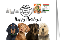 Happy Holidays For Mail Carrier From The Neighborhood Dogs card