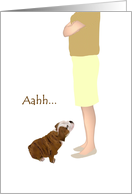 I Am Sorry Cute Bulldog Puppy Looking At Owner card