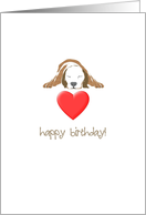 Birthday, sleeping dog and a red heart card