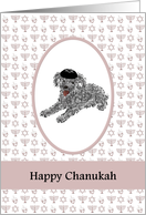 Toy poodle wearing a yarmulke, Chanukah card