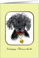 Toy poodle wearing a dreidel on its collar, Chanukah card