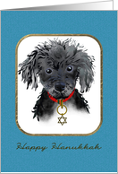 Toy Poodle Wearing a Star of David on its Collar Hanukkah card