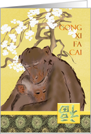 Chinese New Year of the Monkey 2028 Female Monkey Holding Baby card