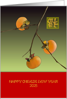 Chinese New Year 2025 Ripe Persimmons on a Branch card