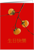 Chinese Birthday Greeting Persimmons on a Branch card