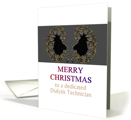 Christmas for dialysis technician, kidney cross-section... (1414454)