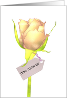 Valentine’s Day in Hebrew, pretty yellow pink rose card