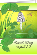 Earth Day April 22 Illustration of a Woodland Floor card