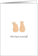 We’ve Moved to New Apartment Two Cats Sitting Together card