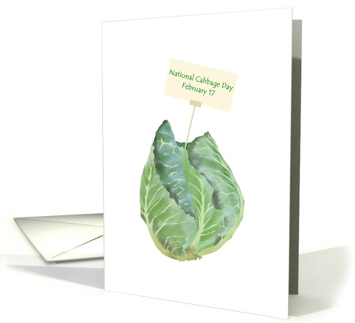 National Cabbage Day February 17 Sketch of a Head of Cabbage card