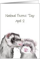 National Ferret Day April 2 Cute Ferrets card