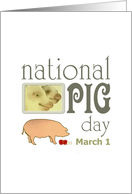 National Pig Day March 1 Pigs and Apples card