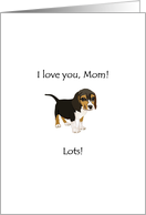 Birthday for Mom Cute Puppy card