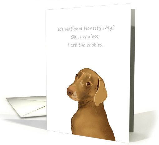National Honesty Day April 30 Dog Confessing to Eating Cookies card