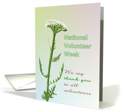 National Volunteer Week Sketch of Yarrow Flower card (1425674)