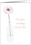 Birthday For Wife Pretty Pink Gerbera Bloom In Glass Bottle card