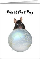 World Rat Day April...