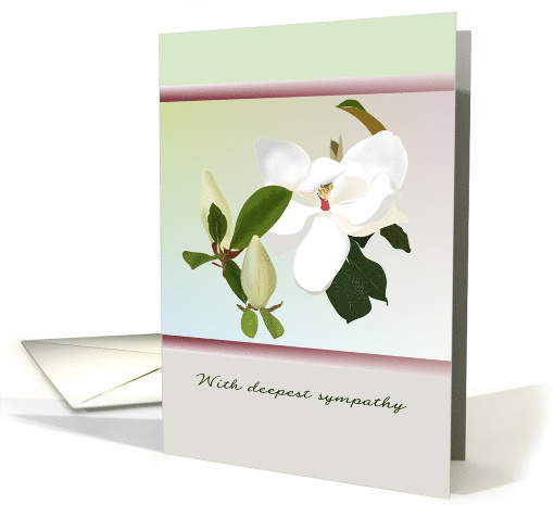 Magnolia Grandiflora Flower and Buds Sympathy card (1440194)