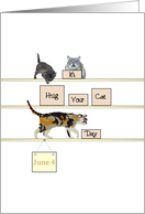 Hug Your Cat Day June 4 Cute Cats and Kitten card