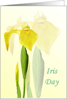 Iris Day on May 8 Beautiful Yellow Irises card