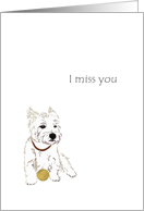 Thinking Of You Away At College From Pet Lonely Dog With Ball card