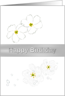 Birthday, Diphylleia skeleton flower card