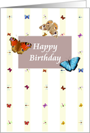 Birthday Colorful Butterflies and Dragonflies card