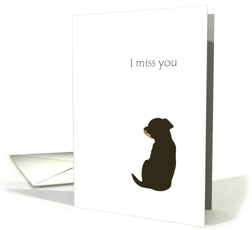 Thinking Of You Away At College From Pet Dog Sitting Alone card