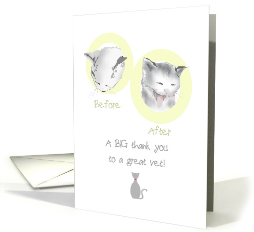 Thank You to Veterinarian Unwell Cat and Happy Cat card (1453192)