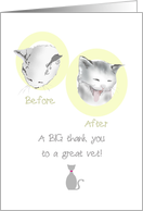 Thank You to Veterinarian Unwell Cat and Happy Cat card