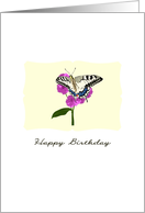 Pretty butterfly feeding on purple blossoms, birthday card