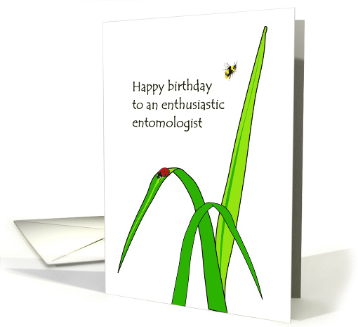 Birthday For Entomologist Ladybug On Blade Of Grass Bee Buzzing card