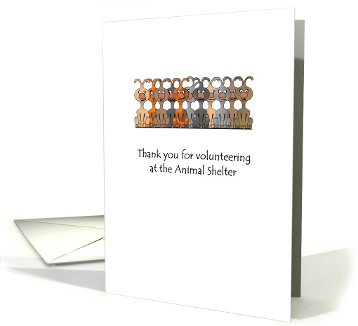 Thank You Volunteering At Animal Shelter Cartoon Of Pack Of Dogs card