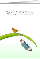Birthday Fluttering With Excitement Pretty Butterflies card