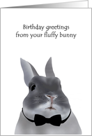 Birthday For Wife Bunny Wearing Black Bow Tie card